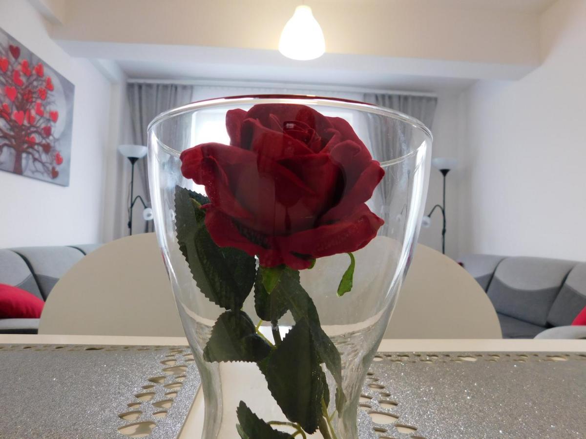 זאטור Apartamenty Niko מראה חיצוני תמונה